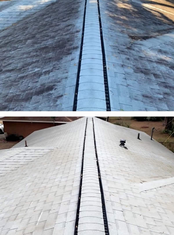 Baltimore Roof Pressure Washing Services